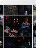 The Alchemist在线观看