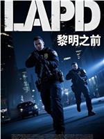 未定名扎克·施奈德纽约警局动作片