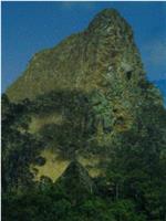 Archipelago of Earthen Bones — To Bunya在线观看