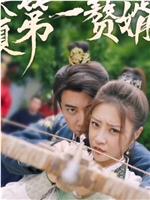 大夏第一赘婿