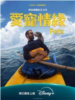 爱宠情缘