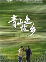 青山是故乡