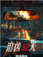 追凶32天在线观看和下载
