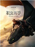 新·驯龙高手