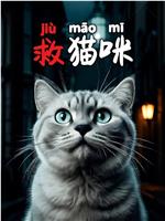 救猫咪